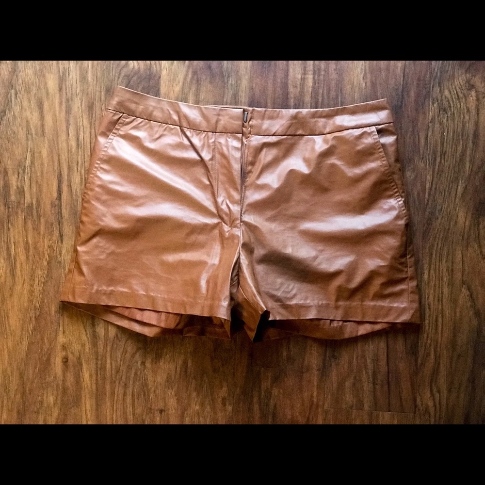 Tinley Road Vegan Leather Shorts